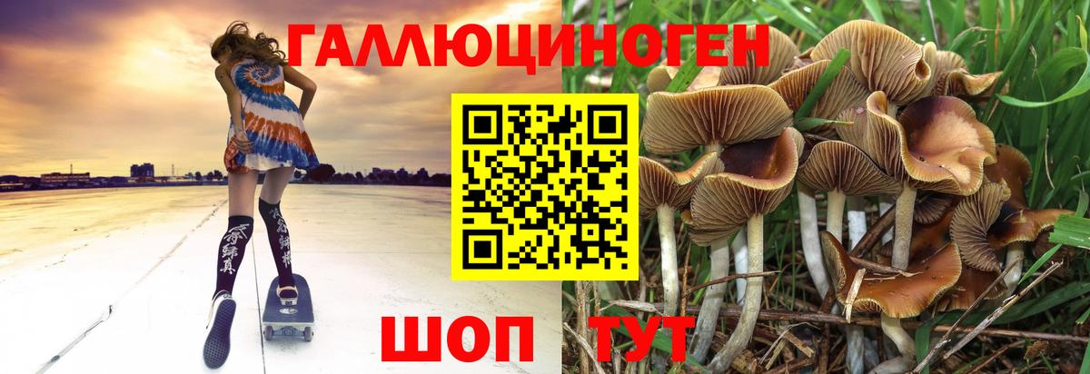 Галлюциногенные грибы MAGIC MUSHROOMS Железноводск