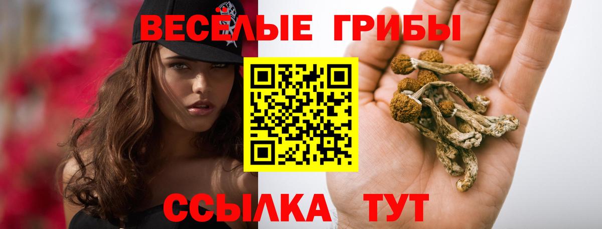 Галлюциногенные грибы Psilocybine cubensis  даркнет сайт  Железноводск  Вход с VPN  Галлюциногенные грибы Psilocybe 
